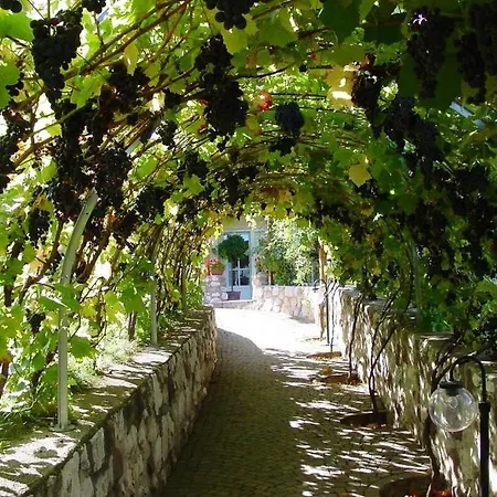 Apartment Weingut Lieselehof Laurin Caldaro